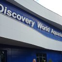  , , 43  -  4  2017     !!!