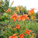 ���� Gulsara, ��������� - ��������� 22 ������� 2017