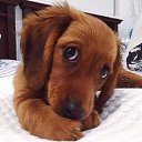  Mary Obbek, , 25  -  23  2017    