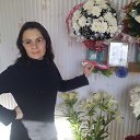 ���� �����, �����������, 46 ��� - ��������� 13 ������ 2017 � ������ ���� ����������