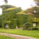 ���� ������, ������, 59 ��� - ��������� 15 ���� 2017 � ������ ���������� 2017�