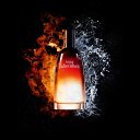 ���� ���������, ������, 59 ��� - ��������� 15 ������ 2017 � ������ ���� ����������