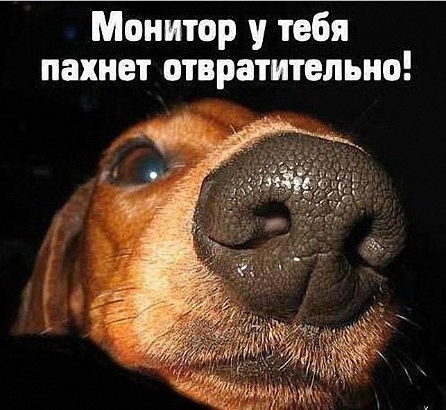   - 10  2017  12:15