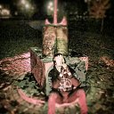 ���� ����, �������, 36 ��� - ��������� 22 ������� 2017 � ������ ������ ��������