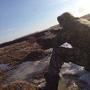  Vladimir, , 36  -  10  2017    