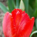 ��� 2017 �� ������� ���� ����������� (!) ��������)�