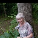 ���� ��������, ������, 68 ��� - ��������� 27 ���� 2017 � ������ ���������� ������