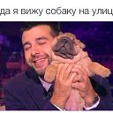 ���� ��������, �����-��������� - ��������� 29 ���� 2017 � ������ ������ ��������