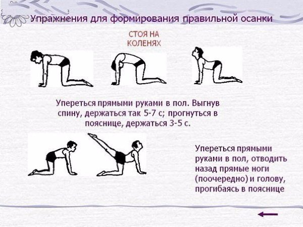 Упражнения от сутулости - красивая осанка у взрослых и детей. #полезное@rules4life - 3