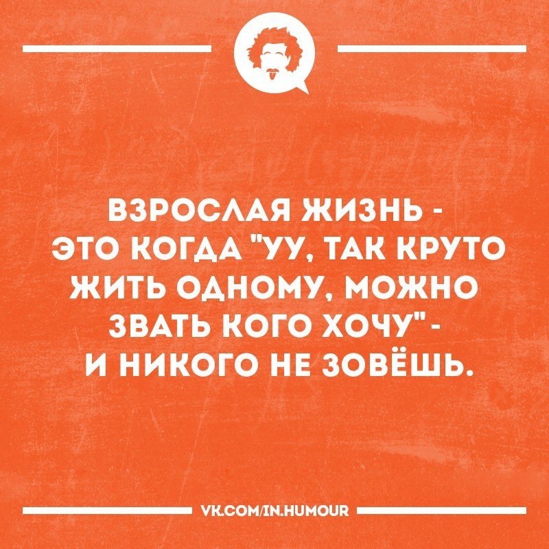   - 17  2017  17:32