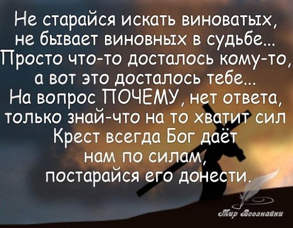 Не каждый, кто наказан – виноват, Не каждый, кто оправдан – не виновен. Не каждый, кто назвался ... - 2