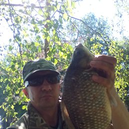 ������, ������