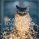 ���� ����, ������, 46 ��� - ��������� 27 ������� 2017 � ������ ���� ����������
