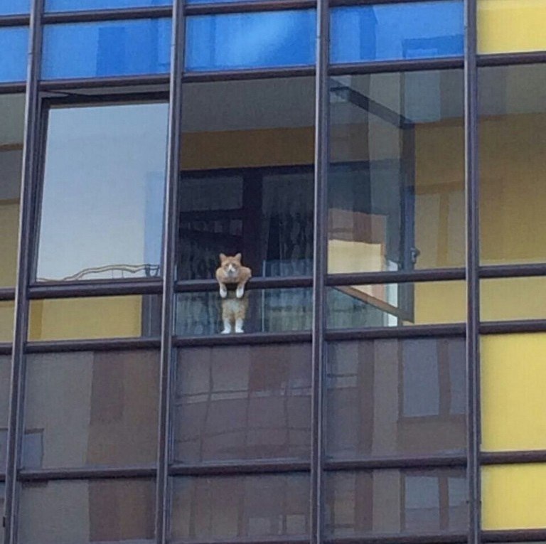  -  - 11  2017  18:21