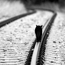 ���� ����, ������, 39 ��� - ��������� 30 ��� 2017 � ������ ���� ����������