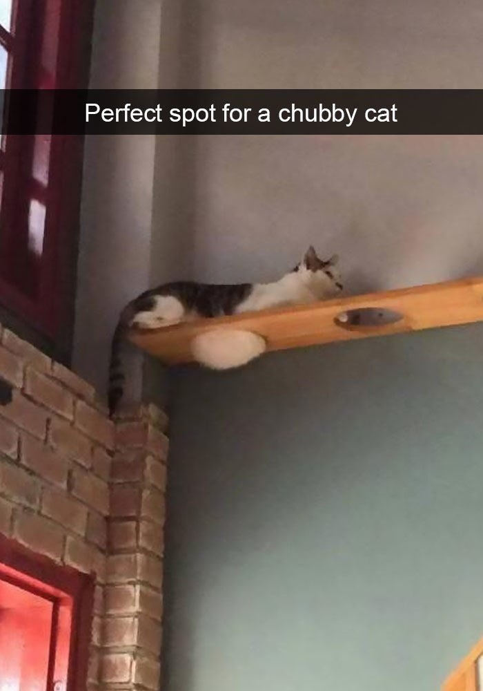    : - 7