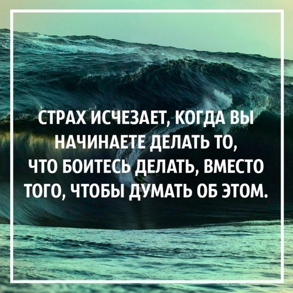 BEST | , ,  - 14  2017  12:58