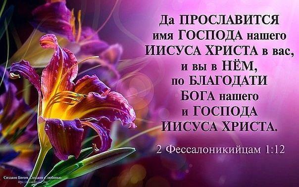 https://fotostrana.ru/away?to=/sl/URk1