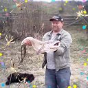 ���� �������, ����, 62 ���� - ��������� 30 ���� 2017 � ������ ���� ����������