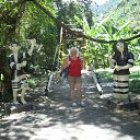 ���� �����, �������� - ��������� 26 ������� 2017 � ������ ��������. ������ 2017 �.�