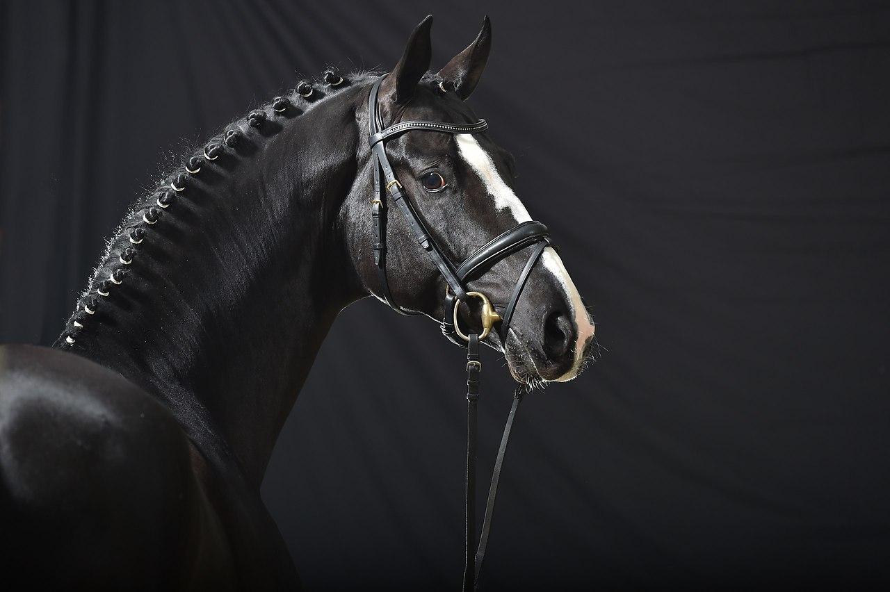  -   ! - 16  2017  13:07