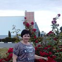 ���� �����, �������� - ��������� 25 ���� 2017 � ������ ���� ����������