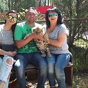 ���� �������, �����������, 53 ���� - ��������� 1 ��� 2017 � ������ ������ ��������