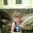 ���� �����, ���� - ��������� 2 ���� 2017 � ������ ���� ����������