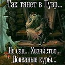  ,  -  3  2017    