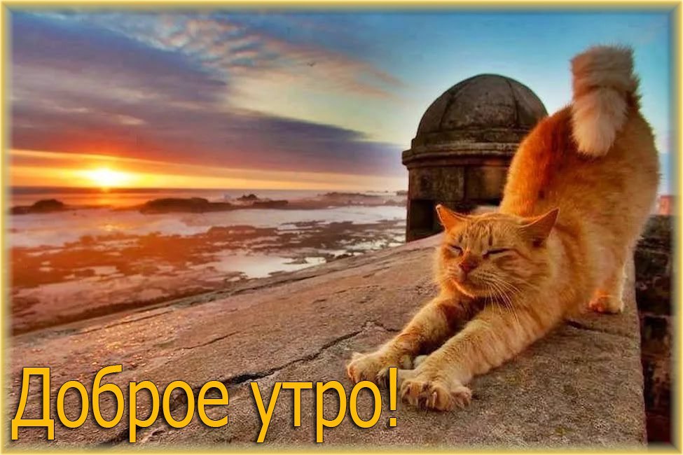  ,      ! ,    ,   ...
