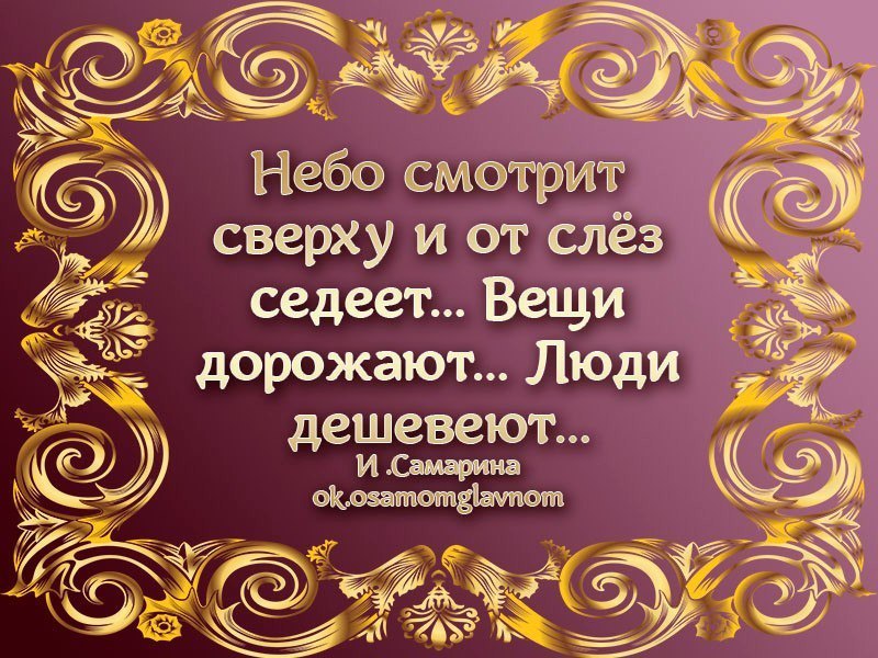   - 17  2017  13:02