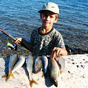 ���� ����, �������, 42 ���� - ��������� 28 ���� 2017 � ������ ������ ��������