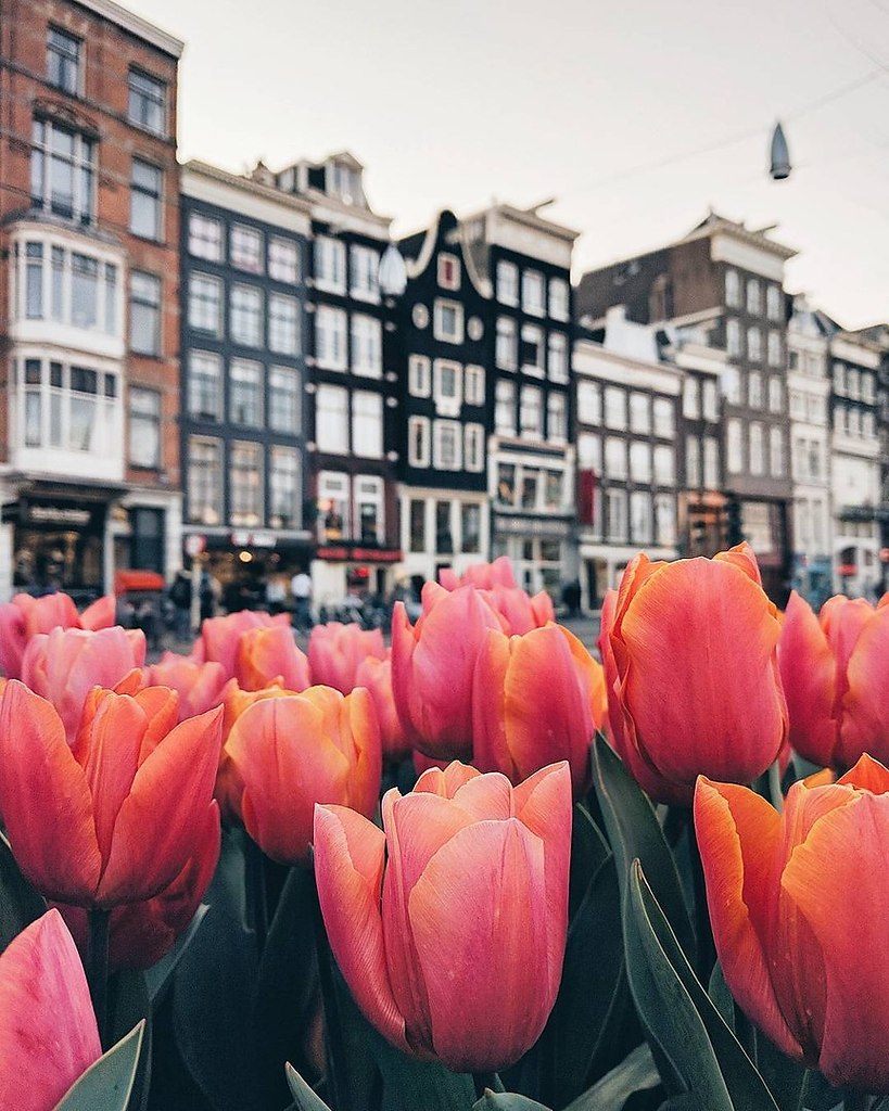 Netherlands - 6