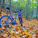 ���� ��������, ����, 39 ��� - ��������� 28 ������� 2017 � ������ ������ ��������