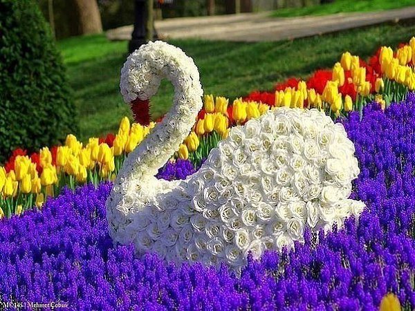 Обалдеть! И это все из цветов! Сколько труда вложено , а красота то какая....