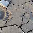  , , 69  -  6  2017    .  864 . 2017.