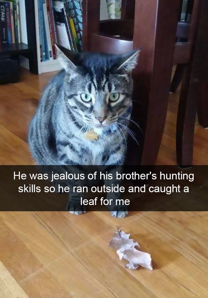    : - 6