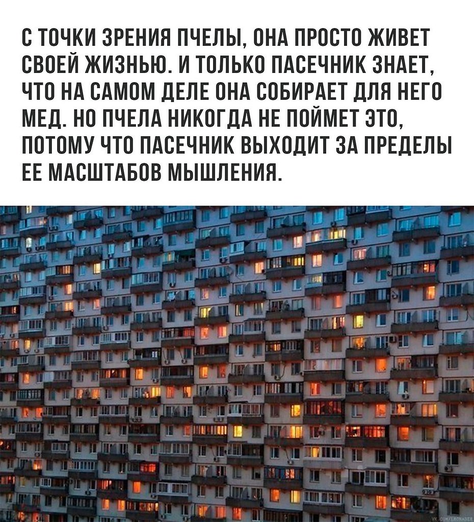   - 12  2017  20:52