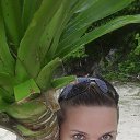 ���� �����, ������ - ��������� 23 ������� 2017 � ������ ���� ����������