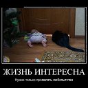 ���� ������, ������������, 45 ��� - ��������� 20 ������ 2017 � ������ ��������������