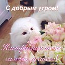 ���� ���������, ������� �����, 47 ��� - ��������� 13 ������ 2017 � ������ ���� ����������