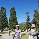 ���� ���������, ������ - ��������� 22 ������� 2017 � ������ ���� ����������