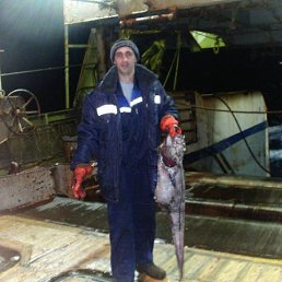 ���� ������� �������, �����������, 41 ��� - ��������� 15 ������� 2017