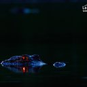 ���� Petr, ���������, 70 ��� - ��������� 12 ������� 2017 � ������ ������ ��������