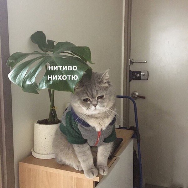       ....))