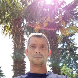 �����, �����������, 42 ����