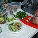 ���� �����, ������������ - ��������� 24 ���� 2017 � ������ ���� ����������