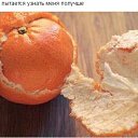 ���� �������, �������, 37 ��� - ��������� 27 ������ 2017 � ������ ������ ��������