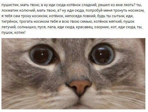       :