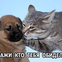 ���� Inga, ������ - ��������� 13 �������� 2017 � ������ �!!!�